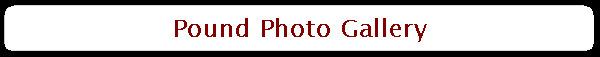 Pound Photo Gallery